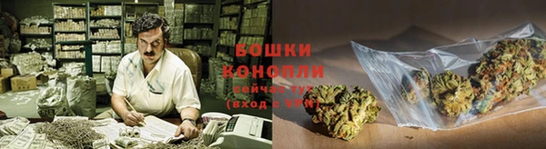 индика Киреевск