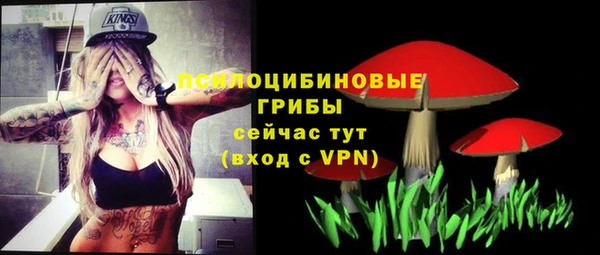 бошки Кинешма