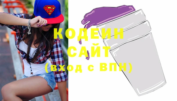 индика Киреевск