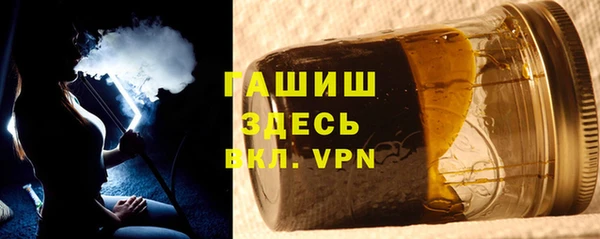 индика Киреевск