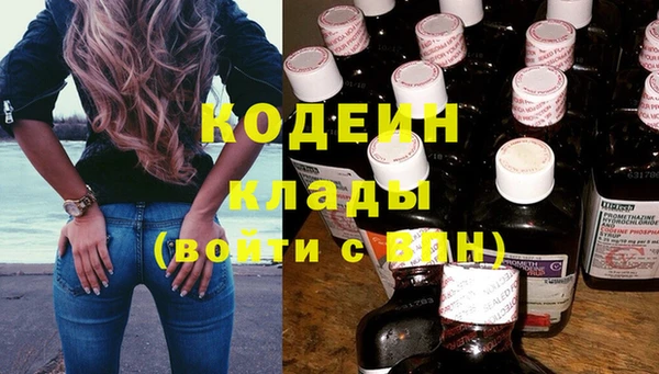 индика Киреевск
