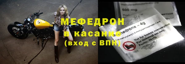 индика Киреевск