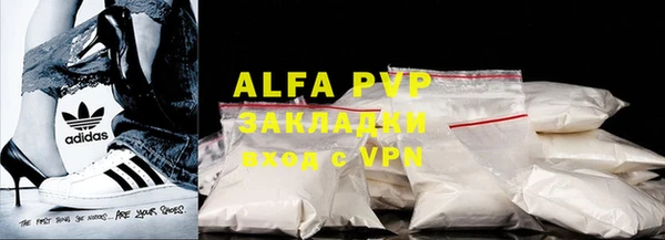 индика Киреевск