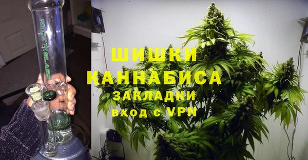 индика Киреевск