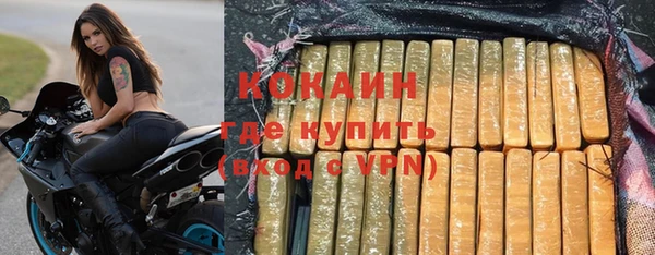 индика Киреевск