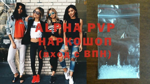 индика Киреевск
