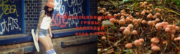 бошки Кинешма