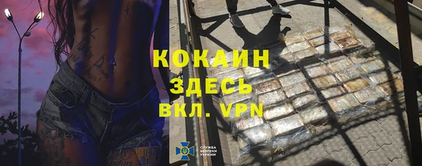индика Киреевск