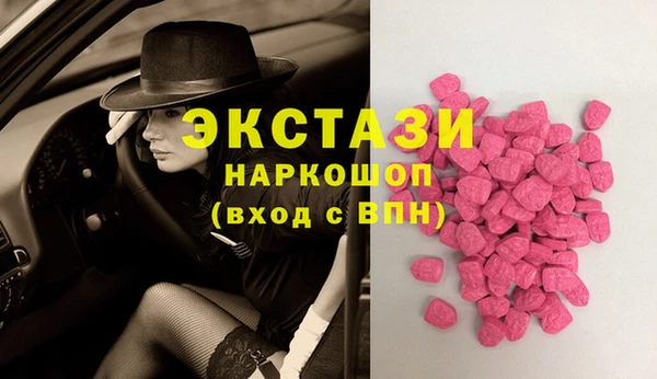 индика Киреевск