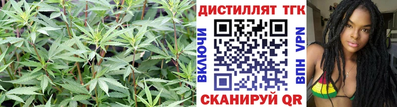 ТГК гашишное масло  Купить  Кушва 
