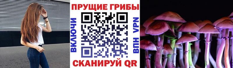 Галлюциногенные грибы мицелий  Купить закладки  Кушва 